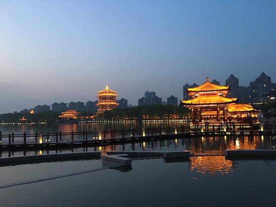 Tang Paradise